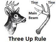 Three Up Rule